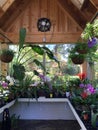 Interior of green house planting orchids