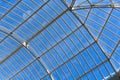 Interior of greenhouse. Crystal Palace Palacio de cristal in the Retiro Park in Madrid. Spain. It was built in 1887. The Royalty Free Stock Photo