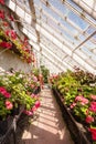 Interior of greenhouse with a variety of flowers Royalty Free Stock Photo