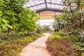 Interior of greenhouse with a variety of plants and flowers