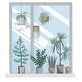 Interior with hanging home plants and houseplants on the windowsill. Cozy home or office design element. Vector isolated Royalty Free Stock Photo