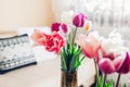 Interior and home decor. Fresh tulips flowers put in vases in living room. Fresh colorful blooms Royalty Free Stock Photo