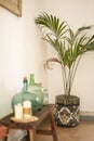 Interior home decoration. Wooden bench with glass vases, candles and indoor green plants. Rustic living room.