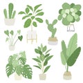 Interior home indoor plants set