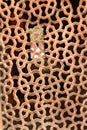 Interior of Humayun's Tomb, a view of symbolically cutout mihrab facing west or Mecca, over the marble lattice jali