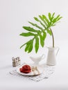 Interior image of food table with green plant Royalty Free Stock Photo