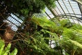 The interior of the Jardin d'hiver greenhouse Royalty Free Stock Photo