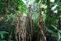 The interior of the Jardin d'hiver greenhouse Royalty Free Stock Photo