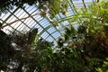 The interior of the Jardin d'hiver greenhouse Royalty Free Stock Photo