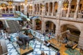 Interior of the Kelvingrove Art Gallery and Museum in Glasgow, Scotland, UK