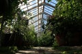 Interior of a large Victorian glasshouse.