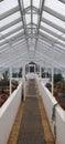 Interior of a large Victorian greenhouse. Royalty Free Stock Photo