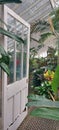 Interior of a large Victorian greenhouse. Royalty Free Stock Photo