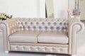 Interior, leather sofa in white room Royalty Free Stock Photo