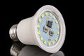 The interior of the led bulb. Chips and leds in a modern led fluorescent lamp Royalty Free Stock Photo