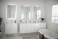 Interior of light bathroom with blank frames