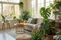 Interior of light living room with green plants and sofa Royalty Free Stock Photo