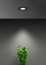 Interior lighting using led downlight night scene with green plant Royalty Free Stock Photo