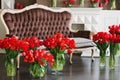 The interior of the living room in brown tones with large bouquets of red tulips in vases. Royalty Free Stock Photo