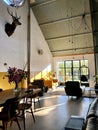 Interior of a loft. Living room with midcentury modern furniture. Concrete floor and plants. Mustard yellow chair