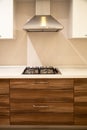 Interior of luxurious modern kitchen and walnut white cabinets