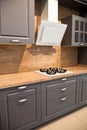 Interior of luxurious wooden modern kitchen grey cabinets Royalty Free Stock Photo