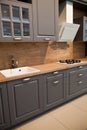 Interior of luxurious wooden modern kitchen grey cabinets