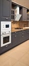 Interior of luxurious wooden modern kitchen grey cabinets