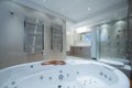 Interior of a luxury bathroom with jacuzzi tub Royalty Free Stock Photo