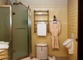 Interior of luxury vintage bathroom Royalty Free Stock Photo