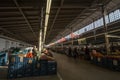 Interior of the main hall of Holesovice Market in Prague, called Prazska Trznice, with agriculturers selling fruits & vegetables