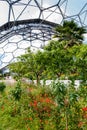 Interior of Mediterranean biome, Eden Project, vertical. Royalty Free Stock Photo
