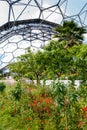 Interior of Mediterranean biome, Eden Project, vertical.