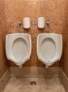 interior of the men's WC with toilet and urinals in the vicinity of the hemicycle in the Portuguese Assembly of the Republic.