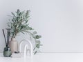 Interior minimal mock up, close up for Eucalyptus on white background