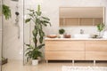 Interior of bathroom with green plants Royalty Free Stock Photo