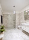 Interior of a modern bathroom. You can see the shower, toilet and washbasin. It is big with lots of space, two beautiful plants on Royalty Free Stock Photo