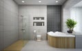 Interior of the modern design bathroom Royalty Free Stock Photo