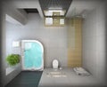 Interior of the modern design bathroom top view Royalty Free Stock Photo