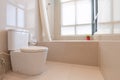 Cleaning Bathroom with shower and toilet in modern house Royalty Free Stock Photo