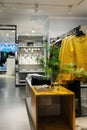 Interior of modern fashion clothes store with fir tree branch Royalty Free Stock Photo
