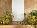 interior of a modern house , Epipremnum aureum plant on wooden table Royalty Free Stock Photo