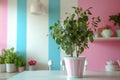 The interior of a modern kitchen is decorated with pink, blue accents and a light background for a stylish and modern Royalty Free Stock Photo
