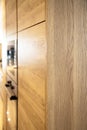 Interior of modern kitchen, oak cabinets corner Royalty Free Stock Photo