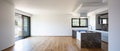 Interior of modern luxury apartment, empty attic