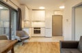 Interior of modern micro apartment with living room and kitchenette