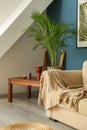 Interior of modern room with decorative Areca palm on table