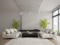 Interior of modern room with two white sofas 3D rendering