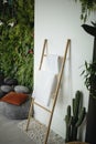 Interior of modern stylish bathroom with green plants. Royalty Free Stock Photo