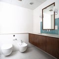 Interior of modern toilet in european style